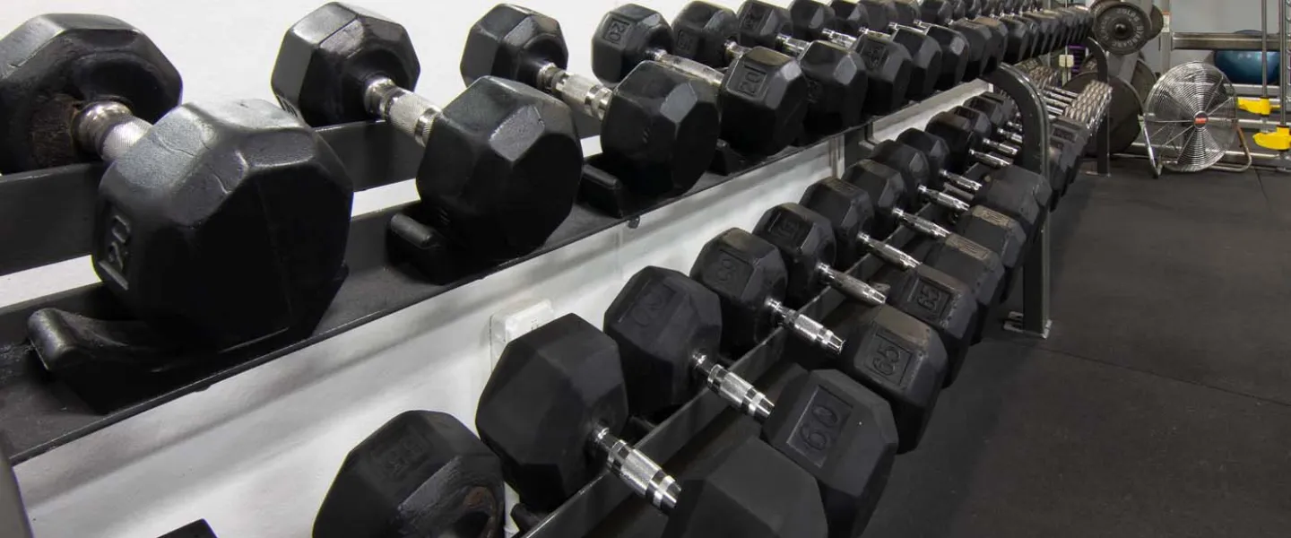 Lafayette Weights
