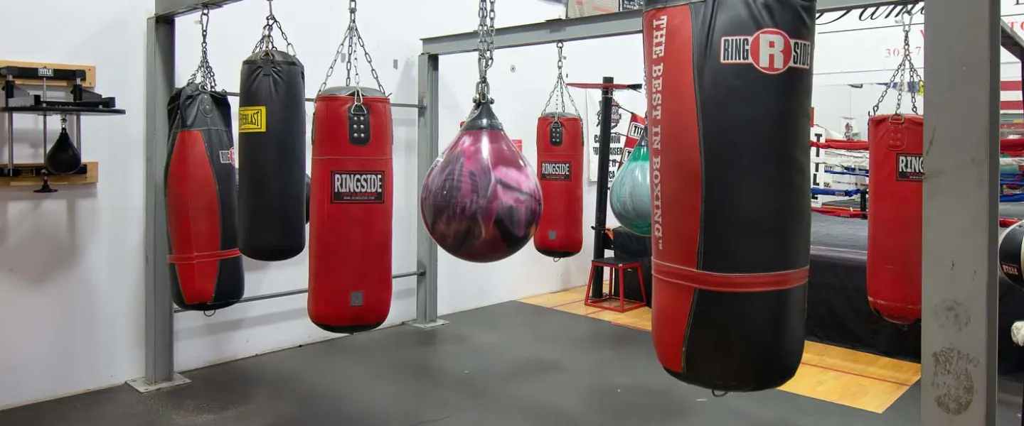 Longmont Boxing