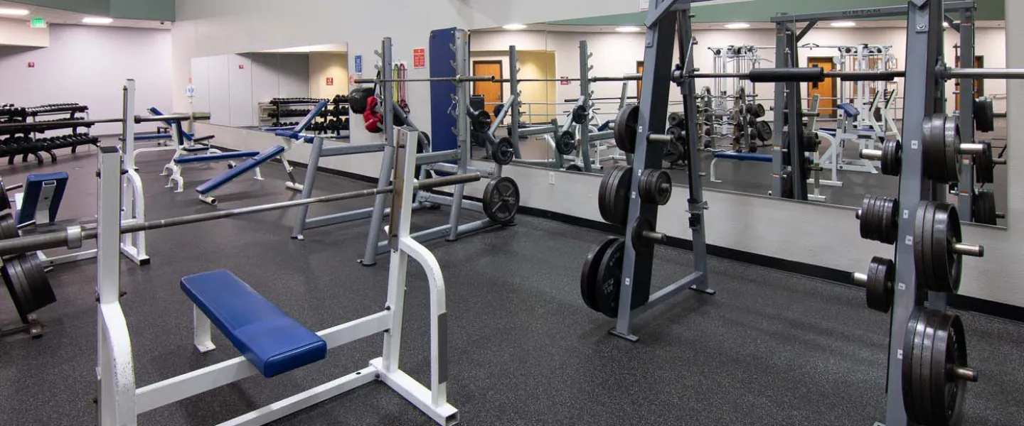 Longmont Weights
