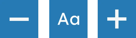 Recite Me Text Options