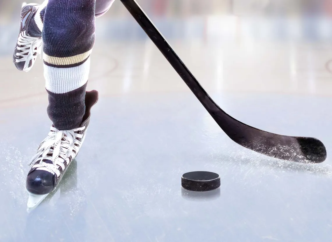 Adult Hockey