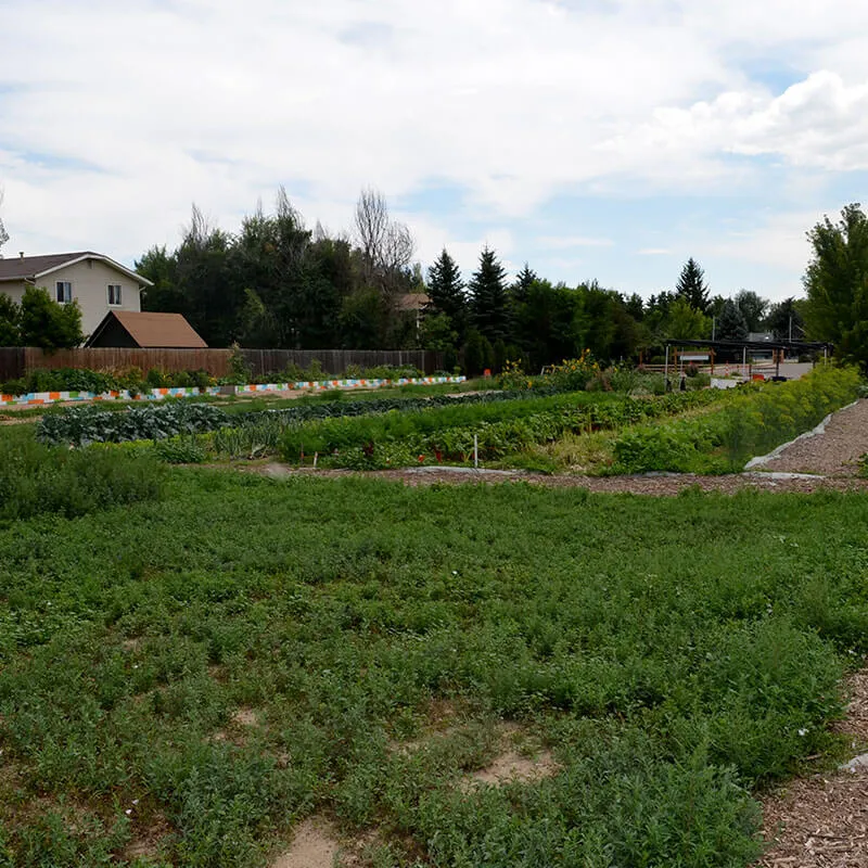 farm3