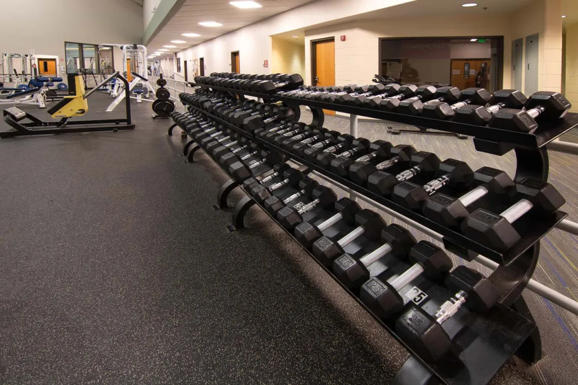 Longmont Weights