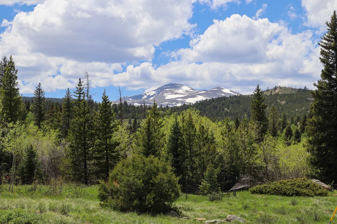 Camp Tumbleson Lake Scenery